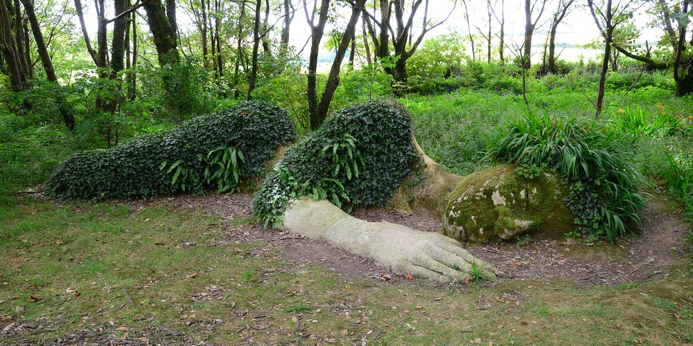 Discover the Lost Gardens of Heligan